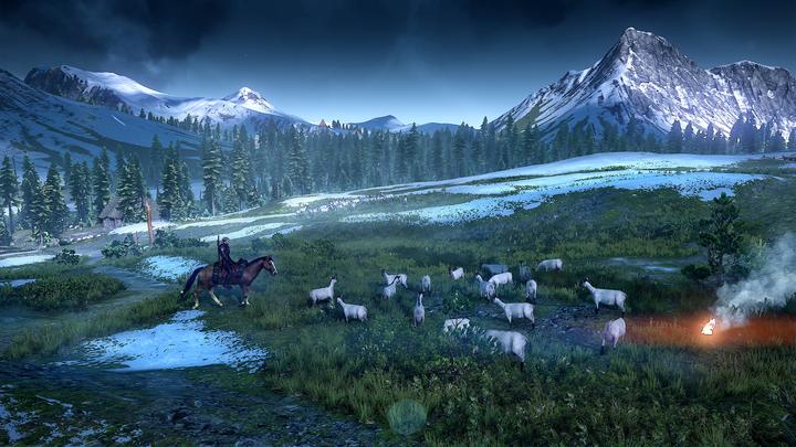 Image du produit The Witcher 3 : Wild Hunt