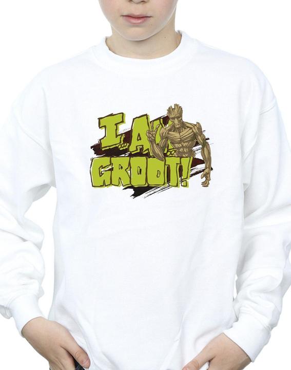 Immagine prodotto Guardians of the Galaxy I Am Groot Felpa Ragazzi (152, 158)