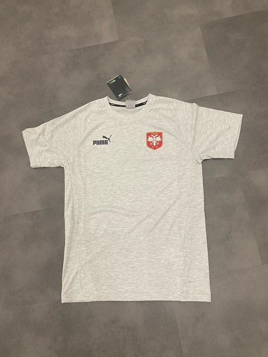 Actual product image Puma Serbia TeamFINAL Casuals Tee (S)