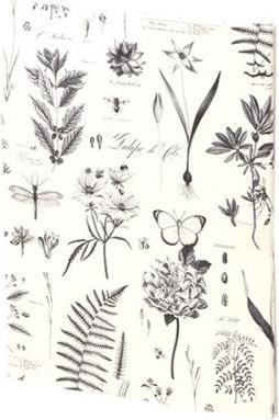 Image du produit Rössler Papier à lettres Botanicals (10 x, 17 x 24 cm)