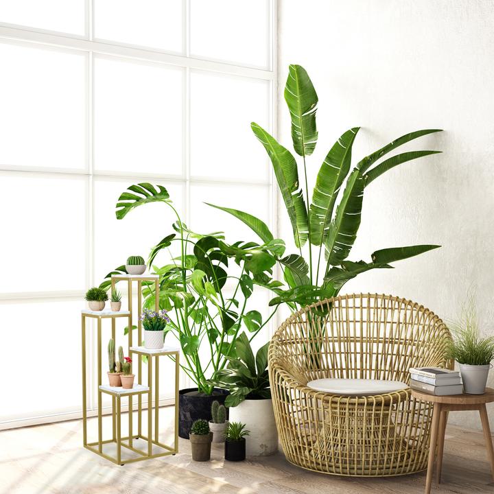 Actual product image Relaxdays Plant stand with 4 shelves