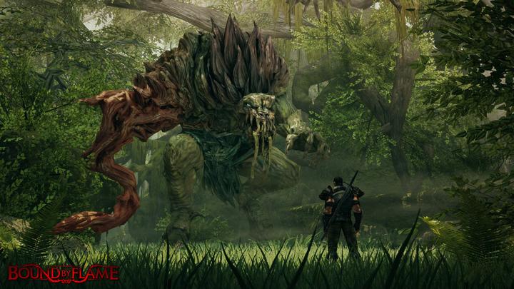 Image du produit Plaion Bound by Flame (PS4)