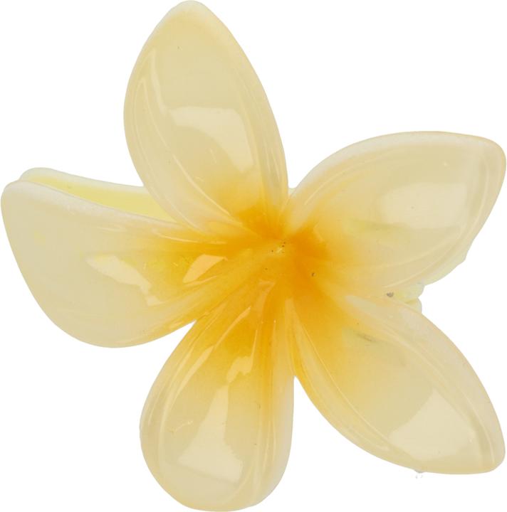 Produktbild Trisa Fashion Frangipani Set Haarklammern & Clip Gelb 5 Stk. (5 Stk.)