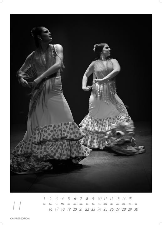 Actual product image Flamenco schwarz-weiss 2026 (German)