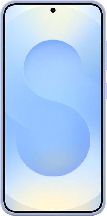 Image du produit Samsung Silicone Case (Samsung Galaxy S25)