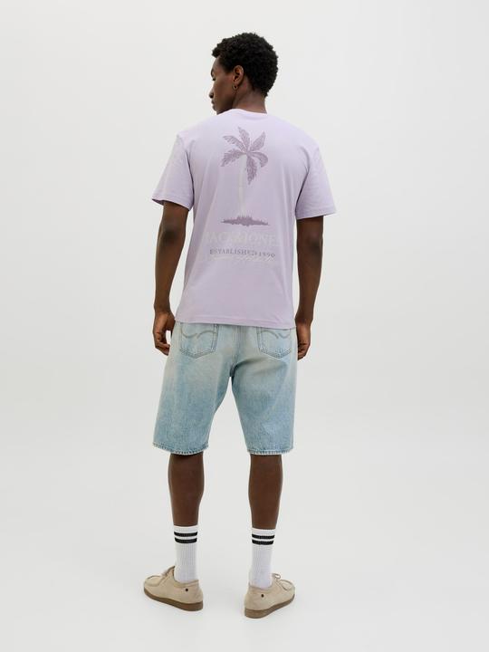 Produktbild Jack & Jones Jjsummer Vibes Tee Ss Crew Neck Ln (S)