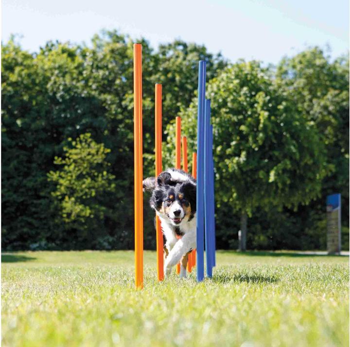 Trixie Fun Agility Slalom (Agility)