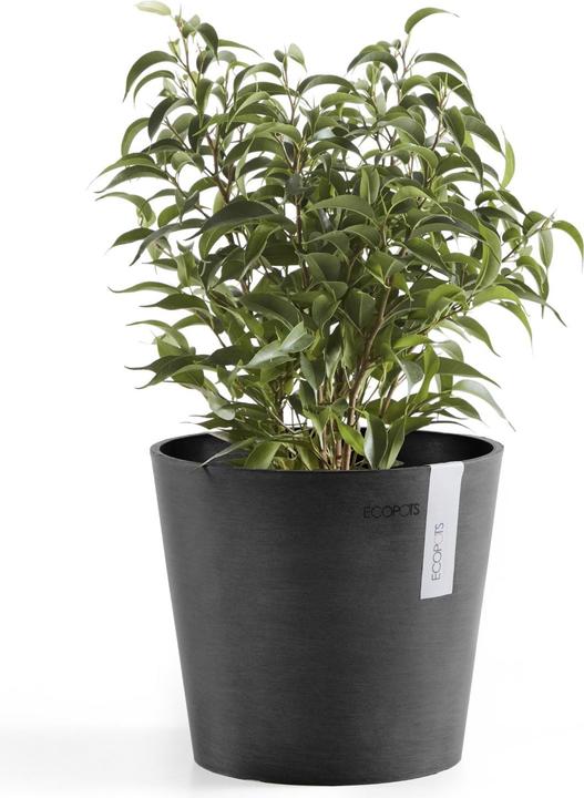 Image du produit Ecopots Amsterdam Mini (17 cm)