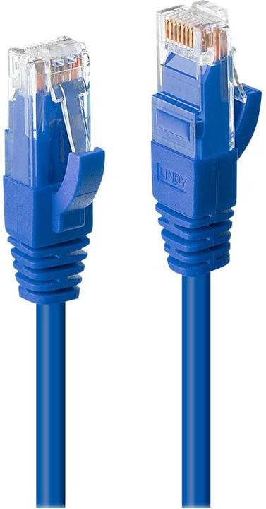 Image du produit Lindy Câble de réseau (UTP, CAT6, 5 m)