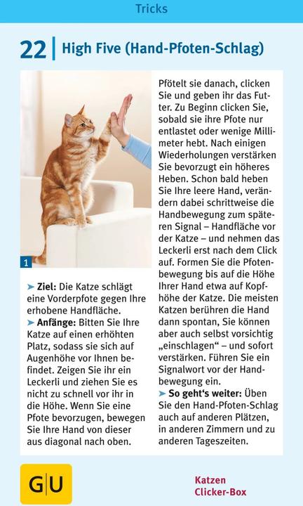 Image du produit Katzen-Clicker-Box (Allemand, Birgit Rödder, 2013)