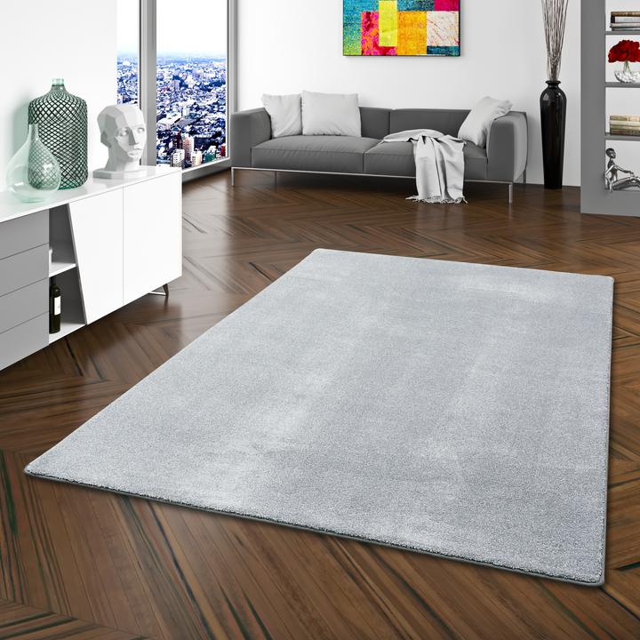 Produktbild Snapstyle Hochflor Luxus Velours Teppich Touch (80 x 160 cm)