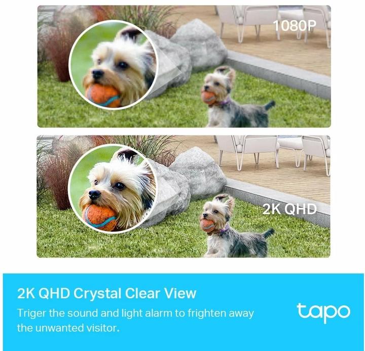 Immagine prodotto TP-Link Tapo C420 (2560 x 1440 Pixels)