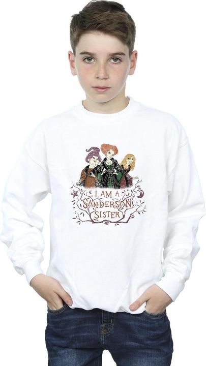 Image du produit Disney - Sweat HOCUS POCUS SANDERSON SISTER - Garçon (152, 158)