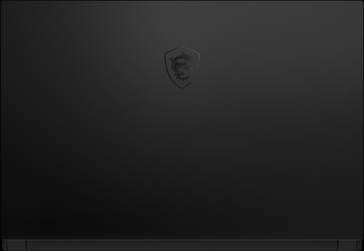 Immagine prodotto MSI GS66 Stealth (15.60", Intel Core i7-10870H, 32 GB, 1000 GB, CH)
