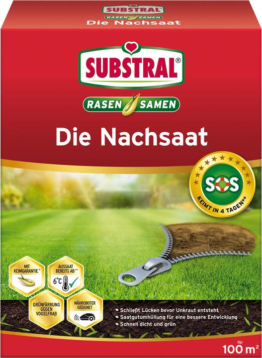 Substral Die Nachsaat 2 kg (Rasensamen)