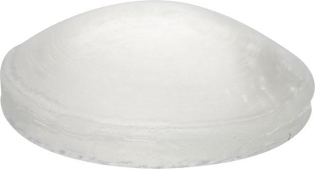 Produktbild Schutzpuffer ø 10 mm 24 Stk. (24 Stück)