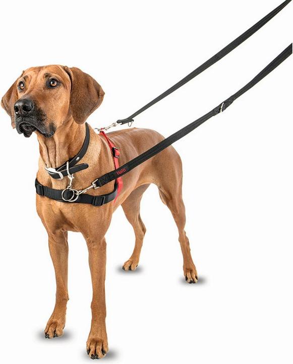 Image du produit Company of Animals Halti Anti-Traction S Front Control (S, Chien, Général)