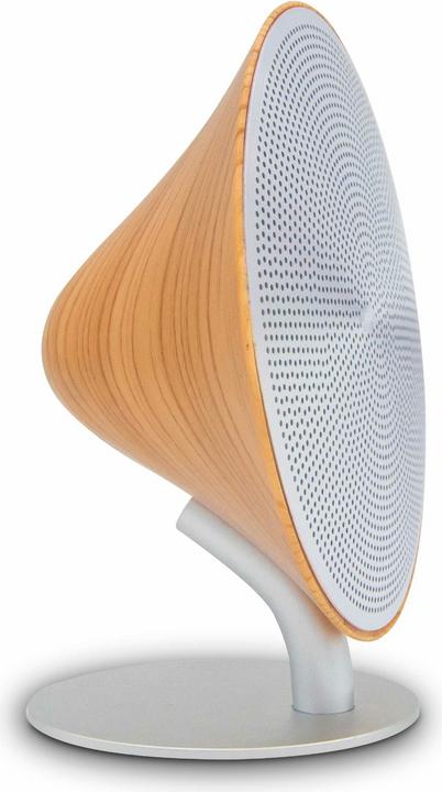 Marron (bois clair / hêtre)