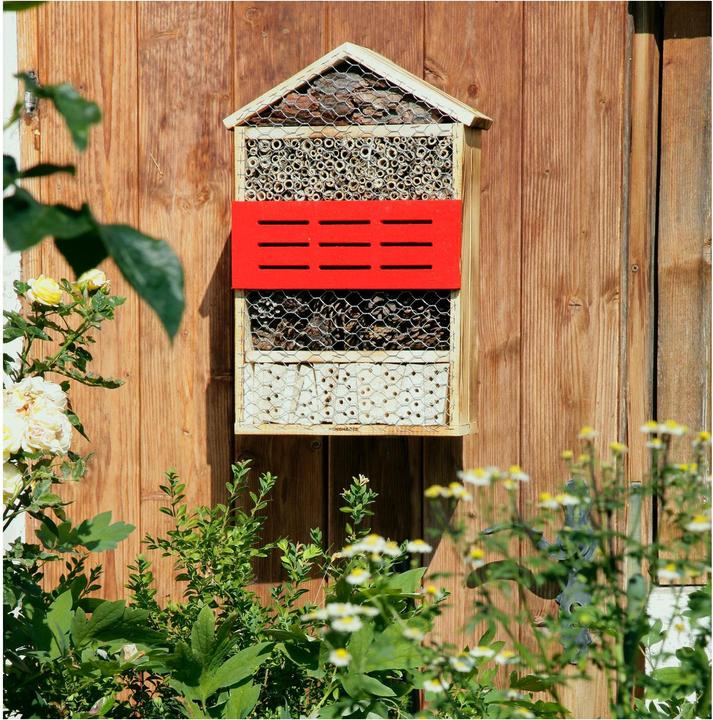 Produktbild Windhager 5 Sterne (Ohrwürmer, Florfliegen, Hummeln, Wildbienen, Marienkäfer)