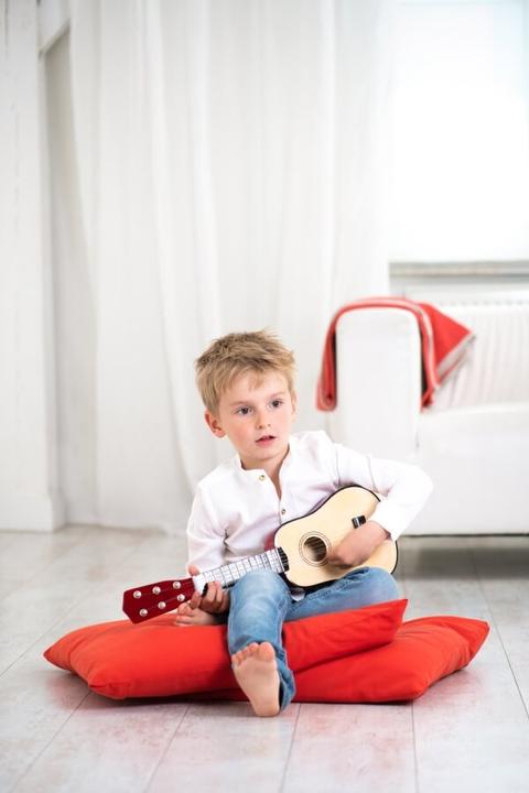 Actual product image Boogie Bee Guitar (Dutch, English, German, French, Italian)