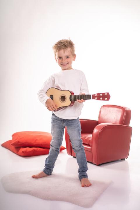 Actual product image Boogie Bee Guitar (Dutch, English, German, French, Italian)