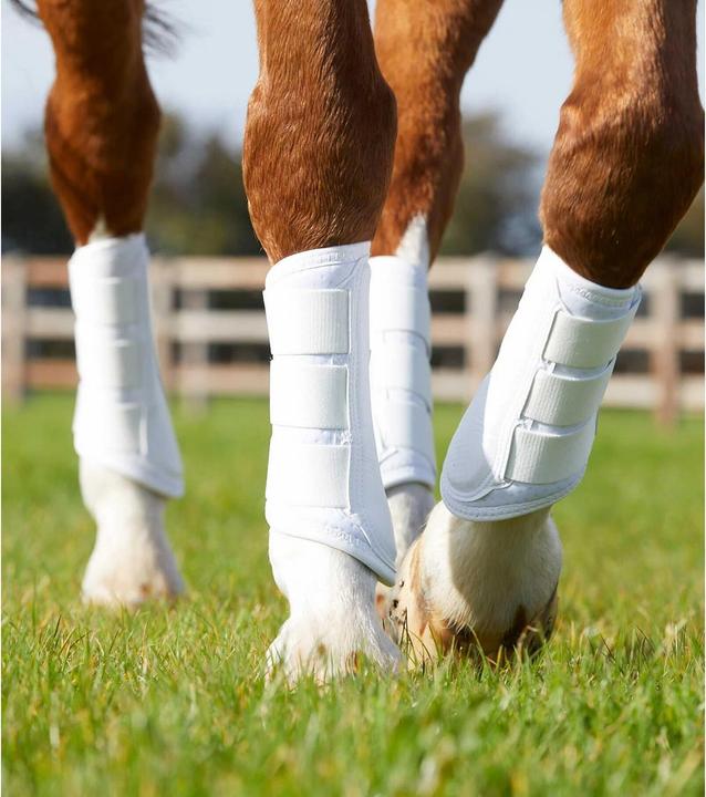 Produktbild Premier Equine Carbon Airtech Arbeitsgamaschen
