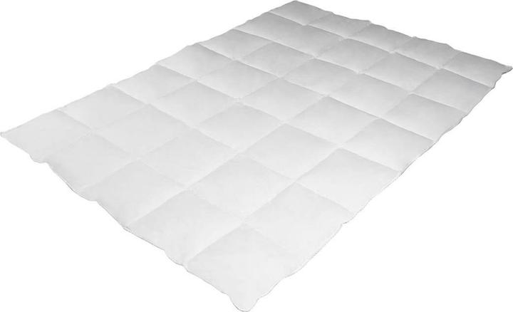 Actual product image BettwarenShop Toronto (230 g, 135 x 200 cm)