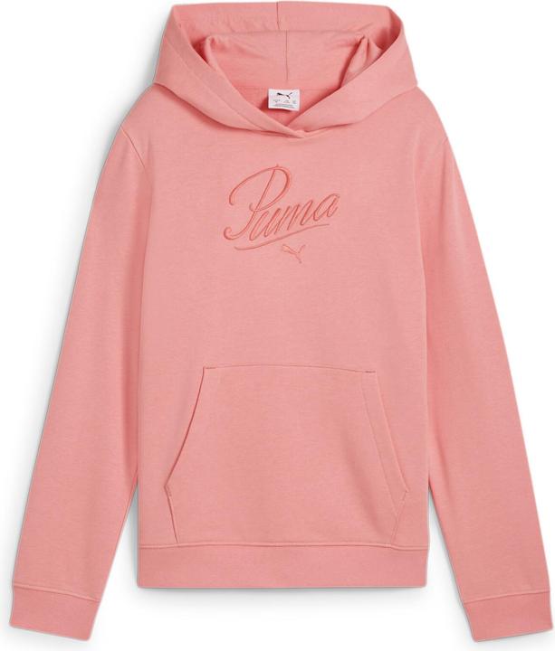 Puma ESS SCRIPT Hoodie TR G (164)