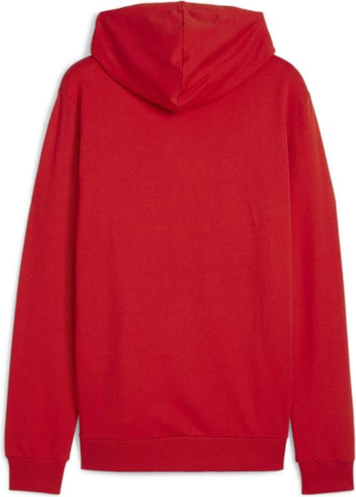 Actual product image Puma teamGOAL Casuals Hoody (S)
