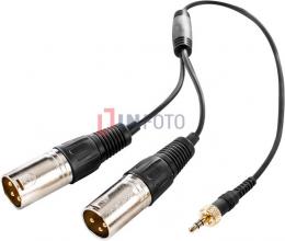 Saramonic Rozgałęźnik audio SR-UM10-CC1 - mini Jack TRS / 2x XLR (0.35 m)
