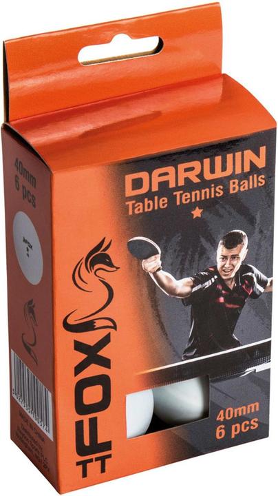 Image du produit Fox TT Darwin 1 Star Balles de ping-pong 6Pack (6 pcs)