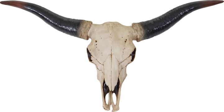 Produktbild JOHN316 Deko Schädel Longhorn