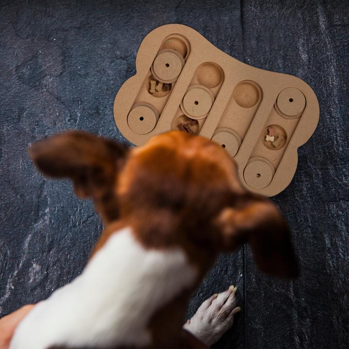 Produktbild Relaxdays Hunde-Intelligenzspielzeug (Intelligenzspielzeug Hund)