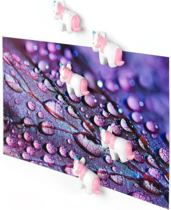 Actual product image Trendform Unicorn (5 x)