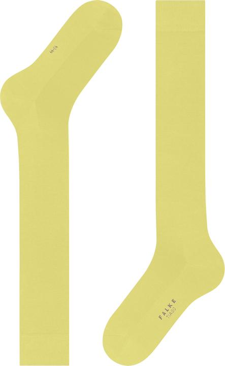 Produktbild Falke Tiago Herren (41 - 42)