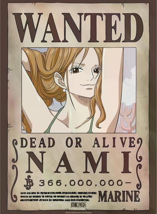 Actual product image GB Eye One Piece - Nami & Robin