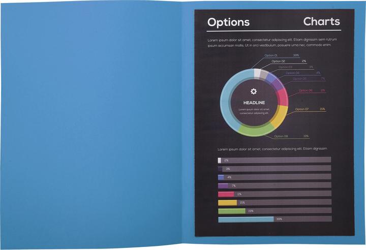Actual product image Exacompta BAHIA 80 - A4 file envelopes (A4, 100 x)