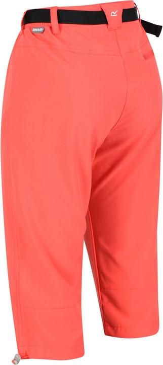 Produktbild Regatta Xert Freizeitshorts (46 D)