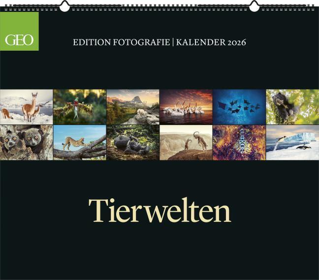 Produktbild Neumann GEO Edition: Tierwelten 2026 - Wand-Kalender - Tier-Kalender - 70x60 (Deutsch)