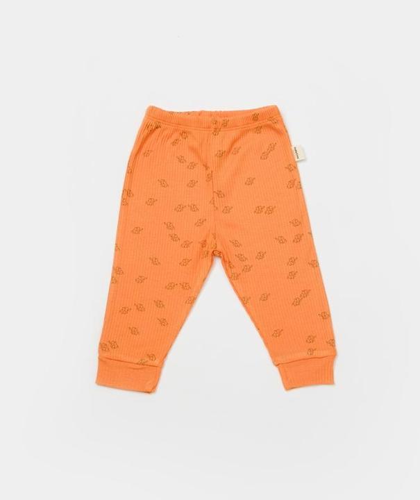 Actual product image BabyCosy 2 Pcs Pants (86)