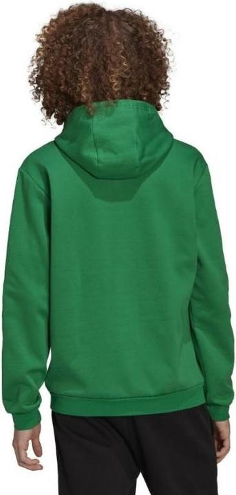 Actual product image adidas Entrada 22 hoodie men (XXL)