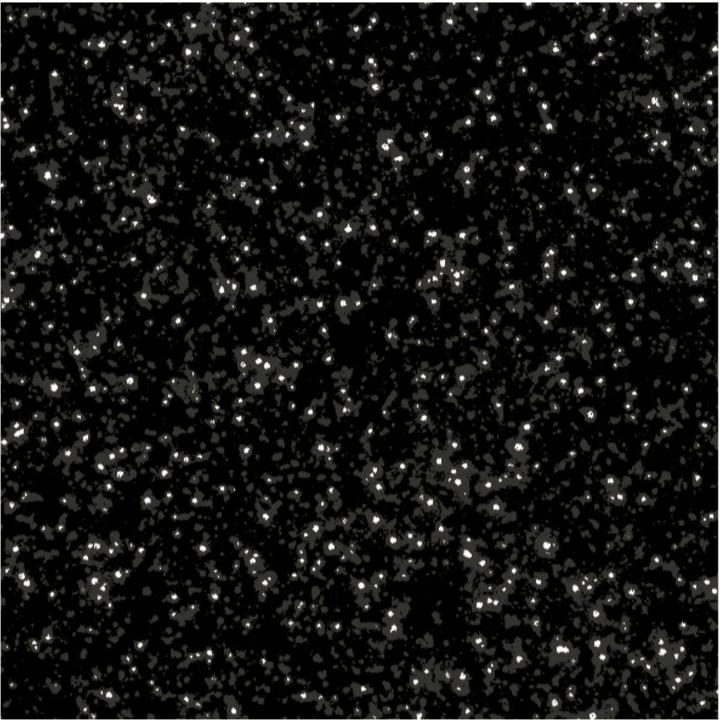 Actual product image Folia Foam rubber