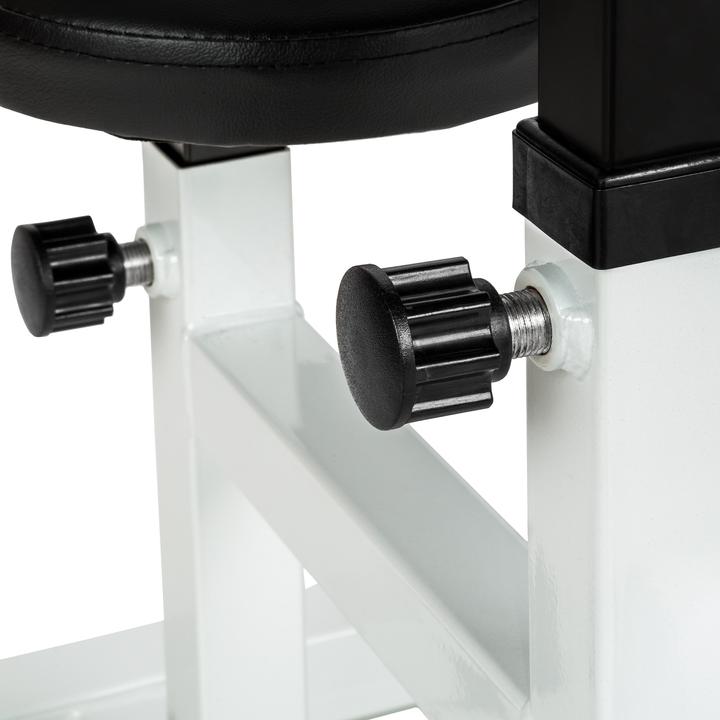 Produktbild tectake Bizeps Curl Hantelbank