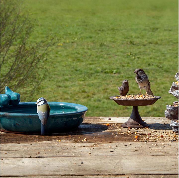 Immagine prodotto Esschert Design Birdbath