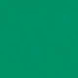 Image du produit Talens Peinture opaque Ecoline 30ml (Forest green, 30 ml)