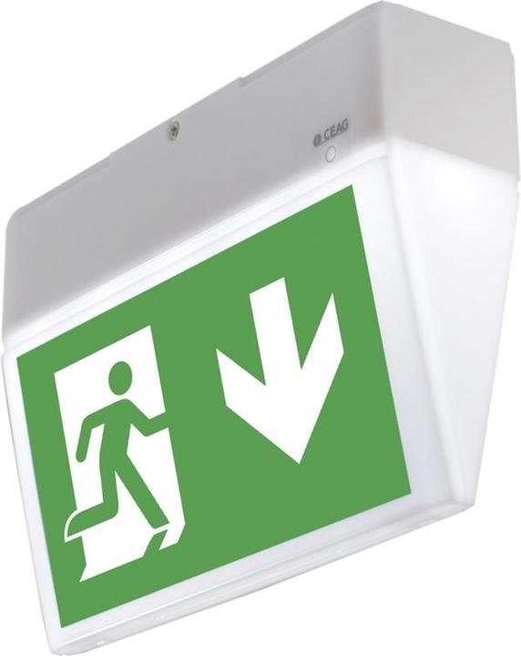 Immagine prodotto Ceag Apparecchio a batteria singola