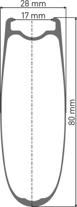 Actual product image DT Swiss ARC 1400 Dicut (Rear wheel, 29")