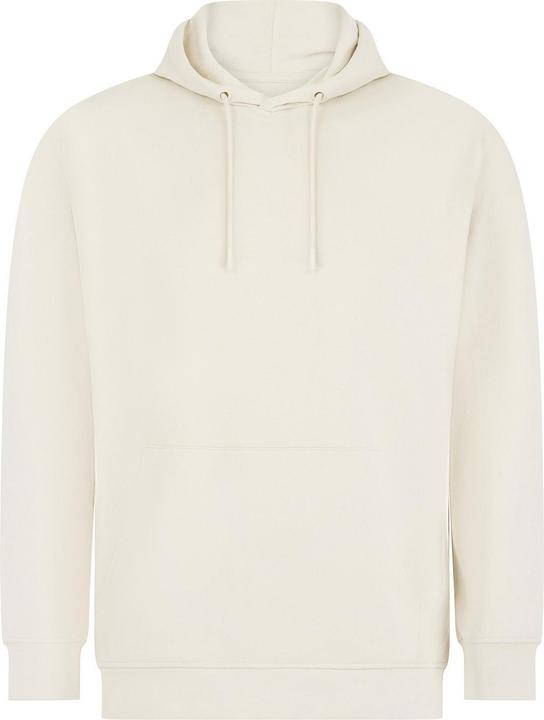 Super Flying Model Adult Sustainable Hoodie