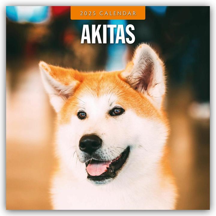 Produktbild Red Robin Publishing Ltd:Akitas - Akita (305 x 305 mm, Harter Einband, Deutsch)