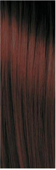 Immagine prodotto pH Argan e colore alla cheratina (4.2 Marrone Viola)